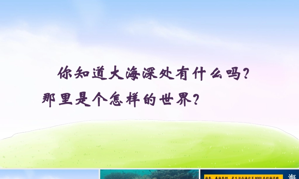 三年级上册语文课件（精品·课堂教学课件）23 海底世界.ppt