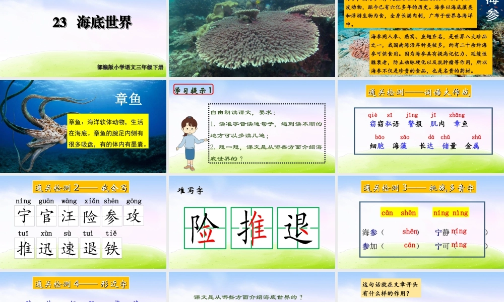 三年级上册语文课件（精品·课堂教学课件）23 海底世界.ppt