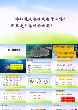 三年级上册语文课件（精品·课堂教学课件）23 海底世界.ppt