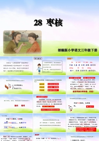 三年级上册语文课件（精品·课堂教学课件）28 枣核.ppt