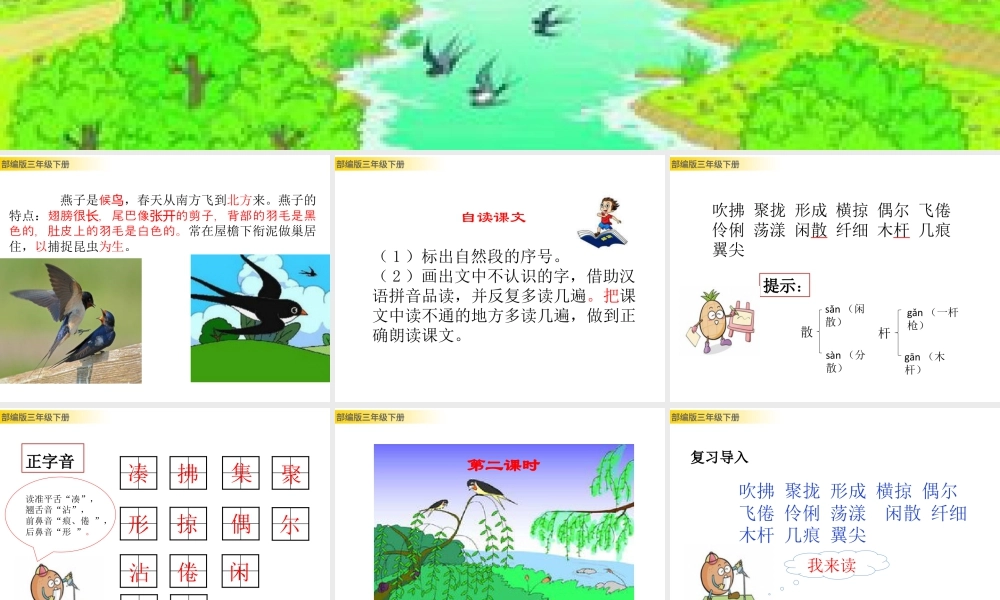三年级上册语文课件2 燕子.pptx