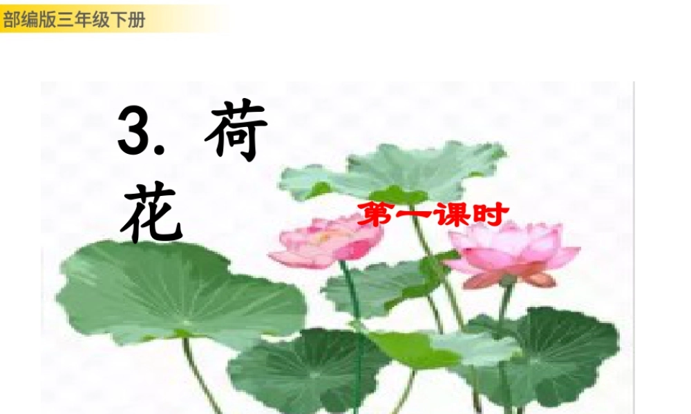 三年级上册语文课件3 荷花 (2).pptx