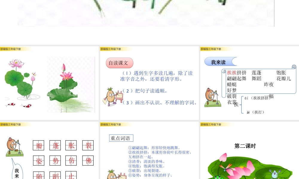 三年级上册语文课件3 荷花 (2).pptx