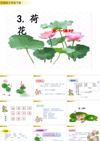 三年级上册语文课件3 荷花 (2).pptx