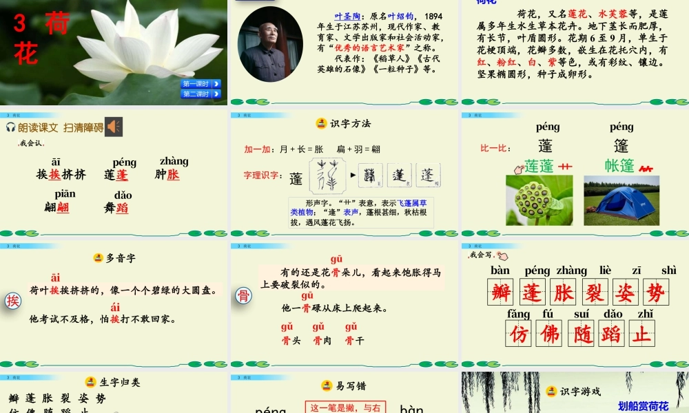 三年级上册语文课件3 荷花.pptx