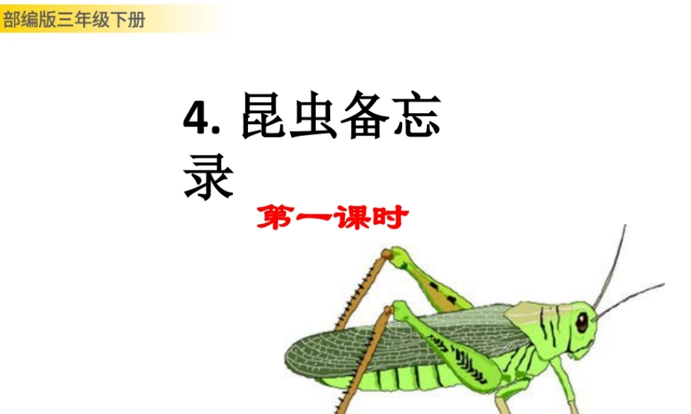 三年级上册语文课件4 昆虫备忘录 (2).pptx