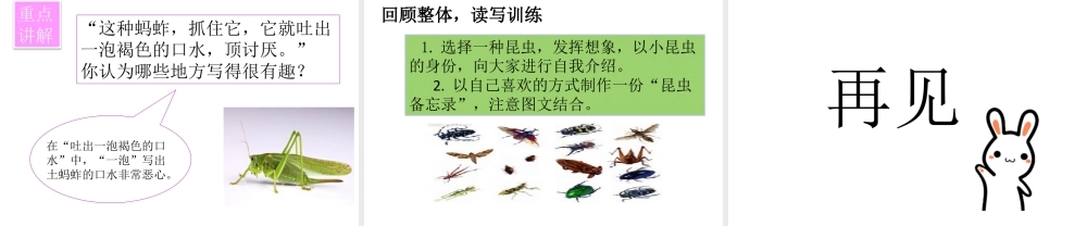 三年级上册语文课件4 昆虫备忘录 (2).pptx