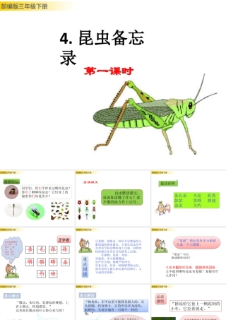 三年级上册语文课件4 昆虫备忘录 (2).pptx