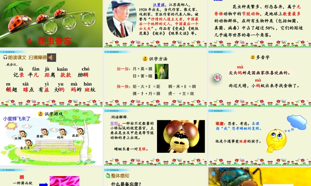 三年级上册语文课件4 昆虫备忘录.pptx