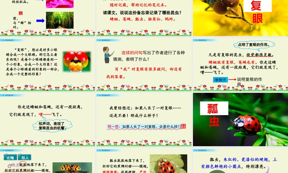 三年级上册语文课件4 昆虫备忘录.pptx