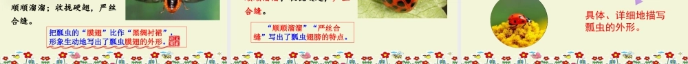 三年级上册语文课件4 昆虫备忘录.pptx