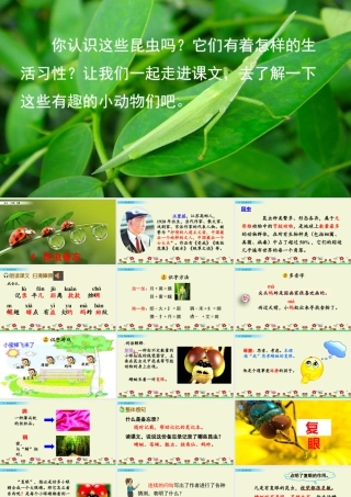 三年级上册语文课件4 昆虫备忘录.pptx