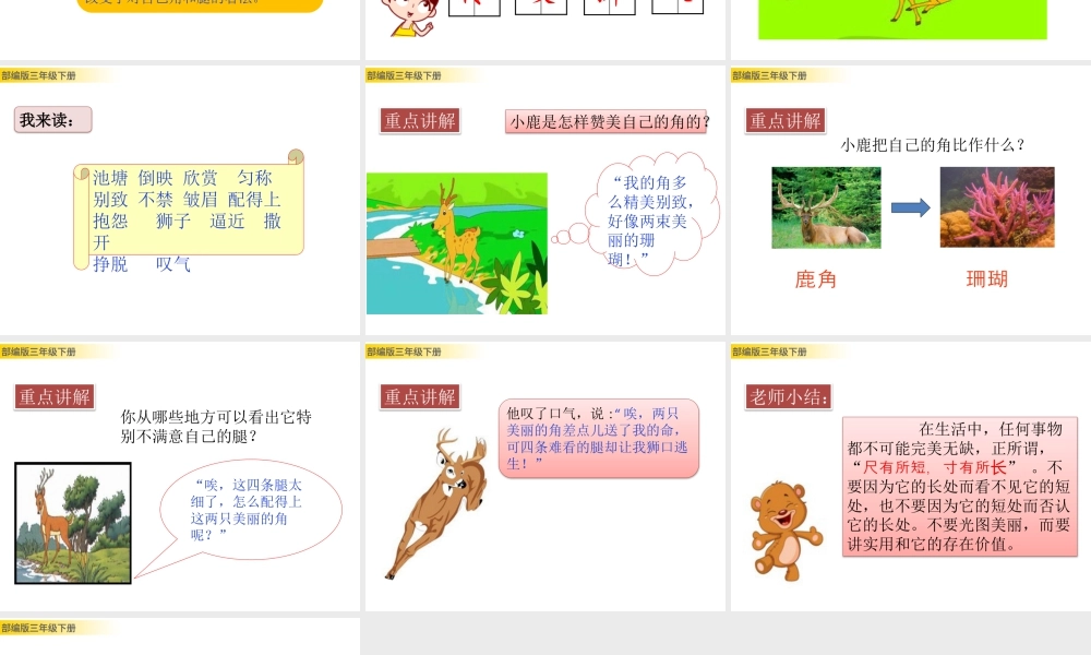 三年级上册语文课件7 鹿角和鹿腿 (2).pptx