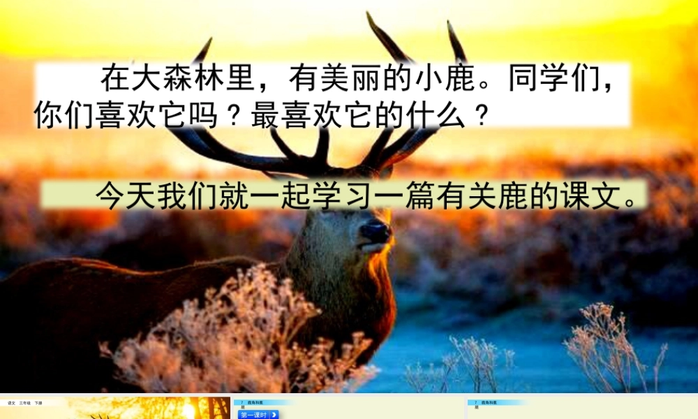 三年级上册语文课件7 鹿角和鹿腿.pptx