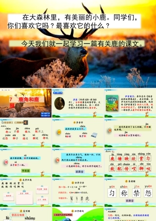 三年级上册语文课件7 鹿角和鹿腿.pptx