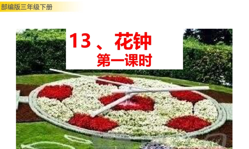 三年级上册语文课件13 花钟 (2).pptx