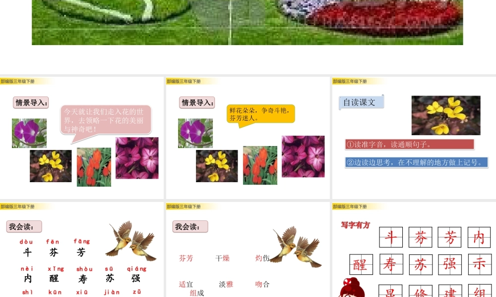 三年级上册语文课件13 花钟 (2).pptx