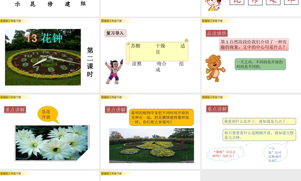 三年级上册语文课件13 花钟 (2).pptx