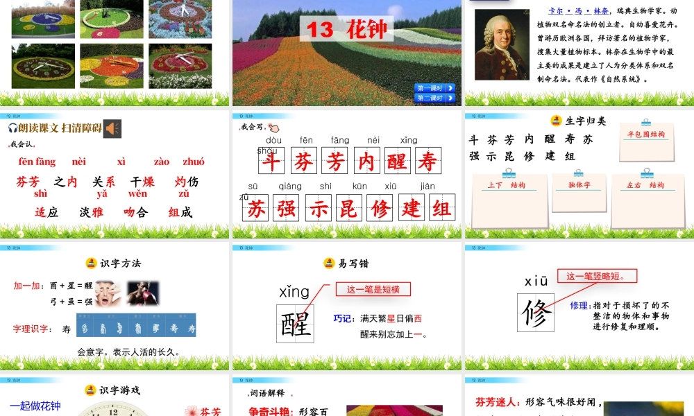 三年级上册语文课件13 花钟.pptx
