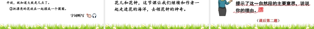 三年级上册语文课件13 花钟.pptx