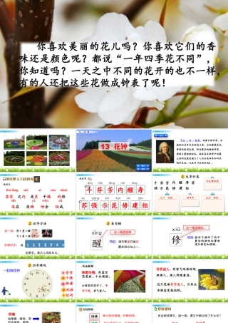 三年级上册语文课件13 花钟.pptx