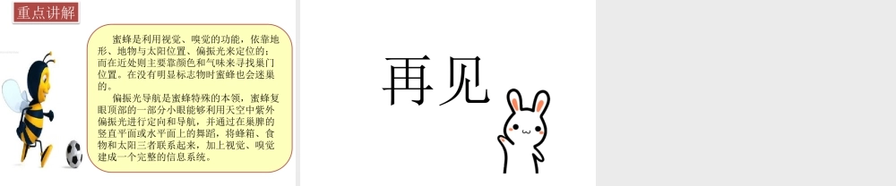 三年级上册语文课件14 蜜蜂 (2).pptx