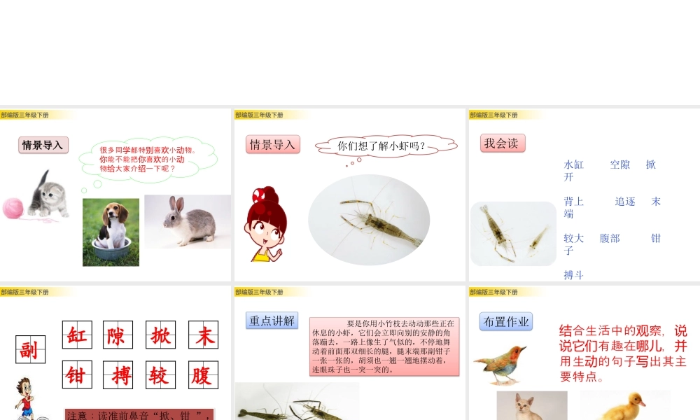 三年级上册语文课件15 小虾 (2).pptx