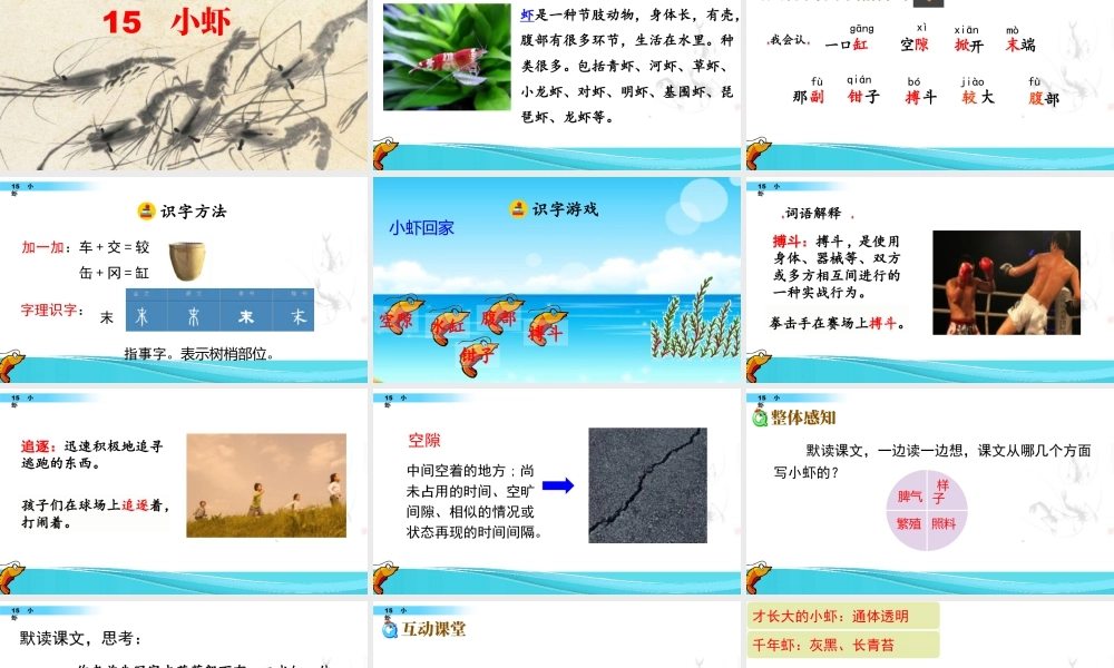 三年级上册语文课件15 小虾.pptx