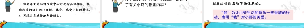 三年级上册语文课件15 小虾.pptx