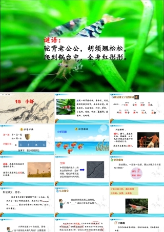 三年级上册语文课件15 小虾.pptx