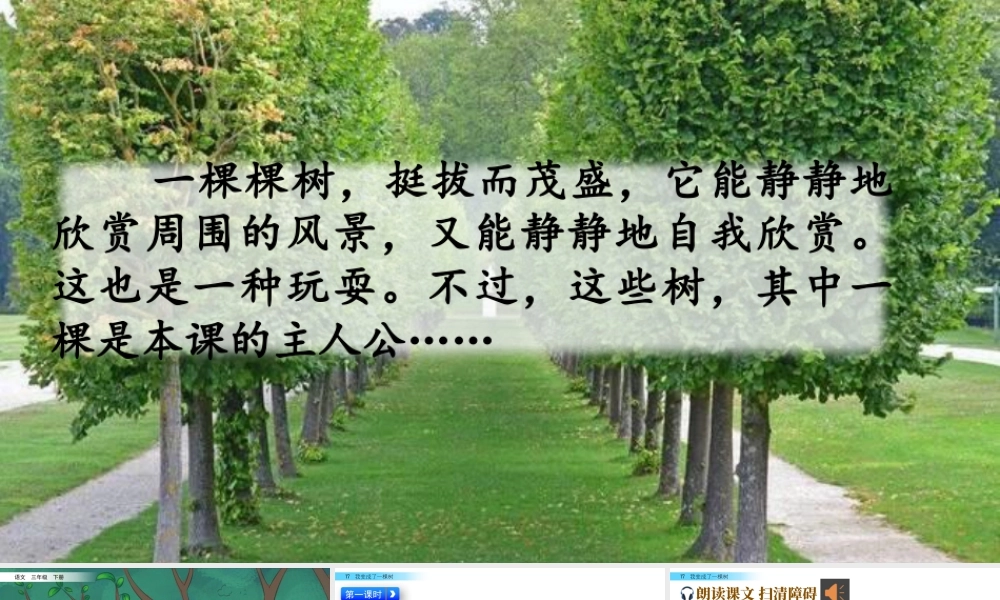 三年级上册语文课件17  我变成了一棵树.pptx