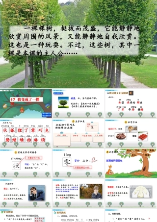 三年级上册语文课件17  我变成了一棵树.pptx
