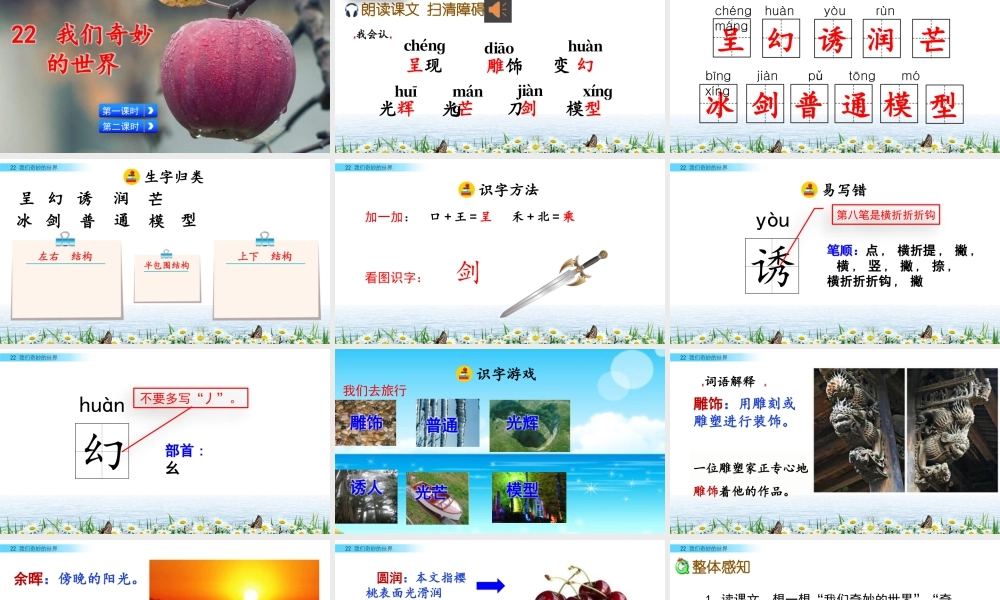 三年级上册语文课件22 我们奇妙的世界.pptx