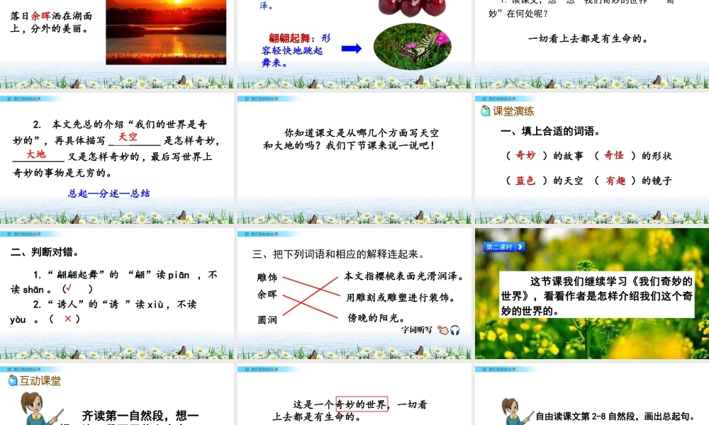 三年级上册语文课件22 我们奇妙的世界.pptx