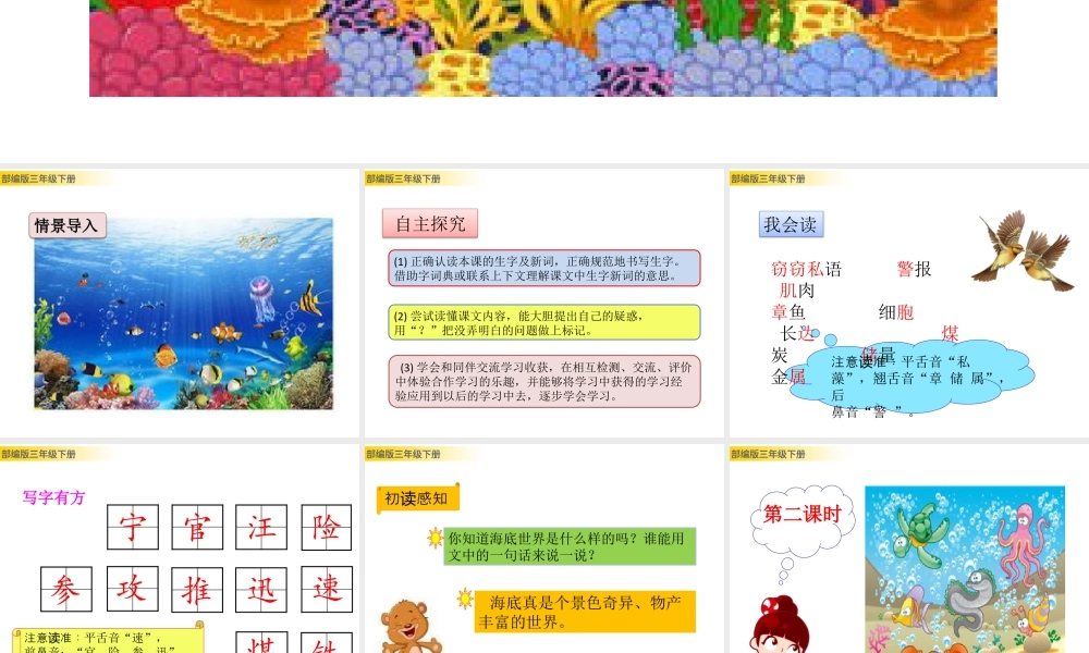 三年级上册语文课件23 海底世界 (2).pptx