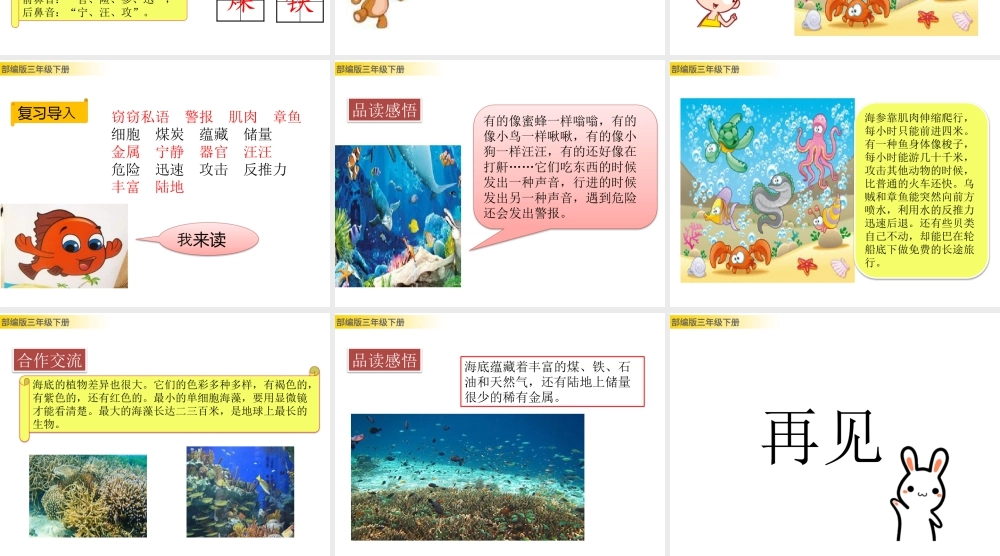 三年级上册语文课件23 海底世界 (2).pptx