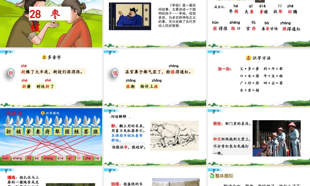 三年级上册语文课件28 枣核.pptx