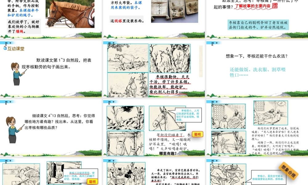 三年级上册语文课件28 枣核.pptx