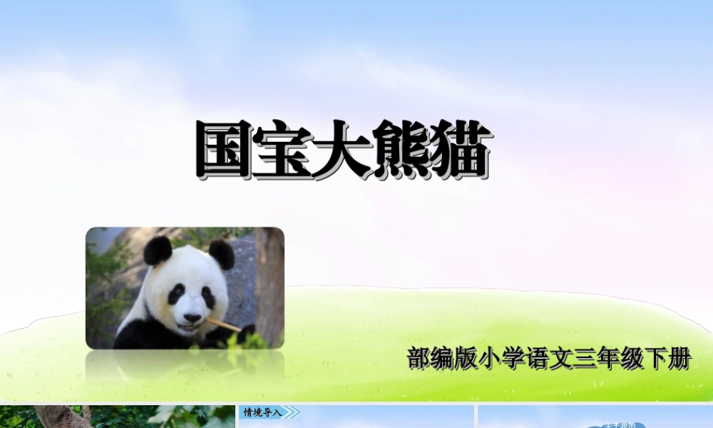 三年级上册语文课件第七单元习作课件：国宝大熊猫.ppt
