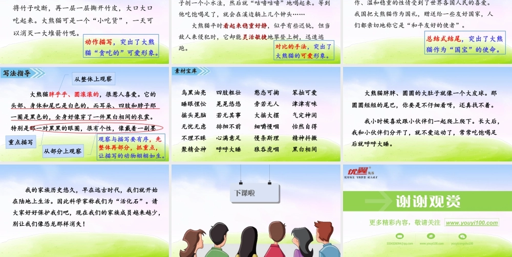 三年级上册语文课件第七单元习作课件：国宝大熊猫.ppt