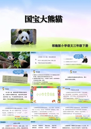 三年级上册语文课件第七单元习作课件：国宝大熊猫.ppt
