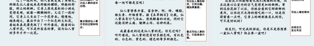 三年级上册语文课件范文1：我的植物朋友.pptx