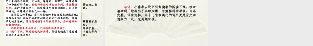 三年级上册语文课件范文1：我做了一项小实验.pptx