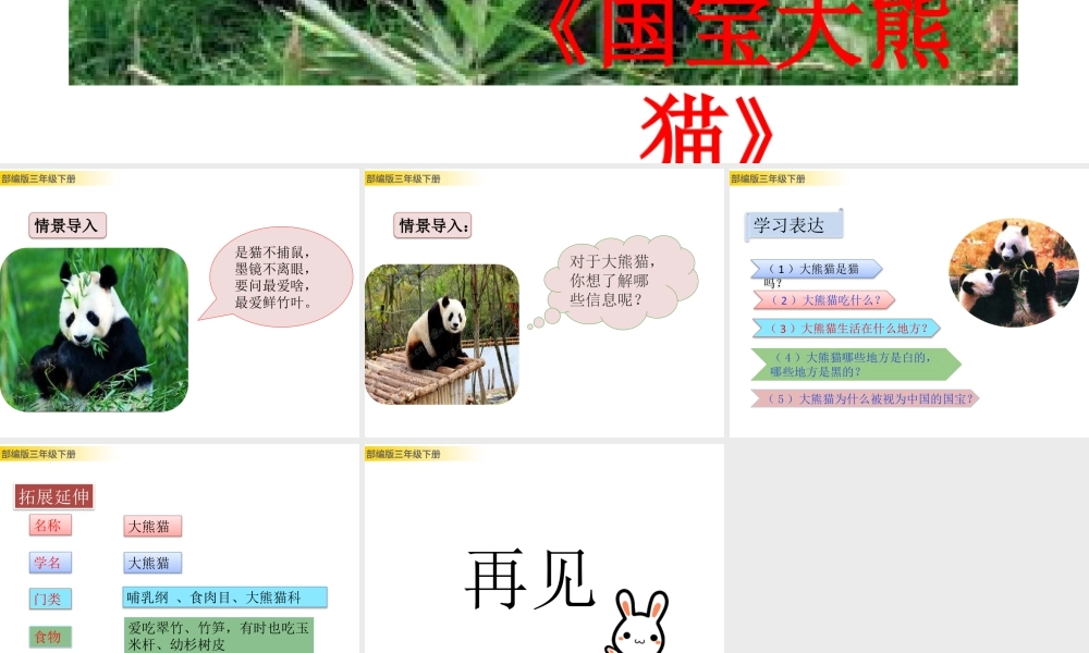 三年级上册语文课件习作：国宝大熊猫 (2).pptx