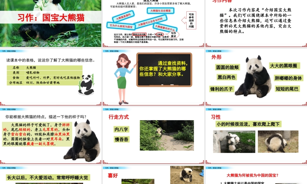三年级上册语文课件习作：国宝大熊猫.pptx