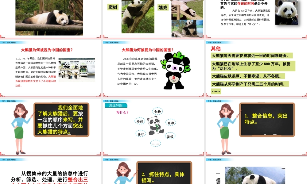 三年级上册语文课件习作：国宝大熊猫.pptx