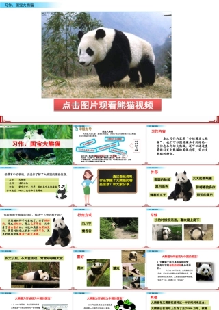 三年级上册语文课件习作：国宝大熊猫.pptx