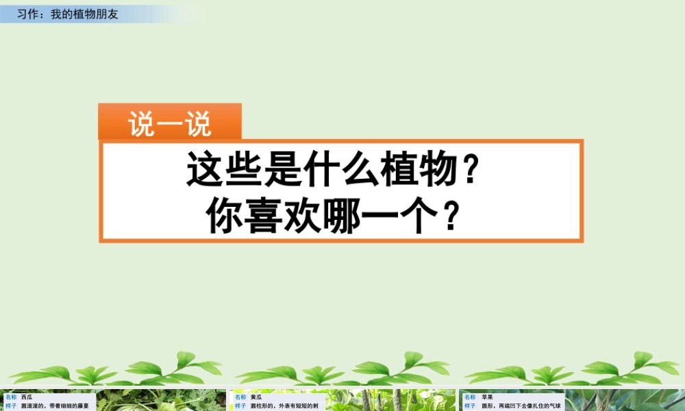 三年级上册语文课件习作：我的植物朋友 (2).pptx