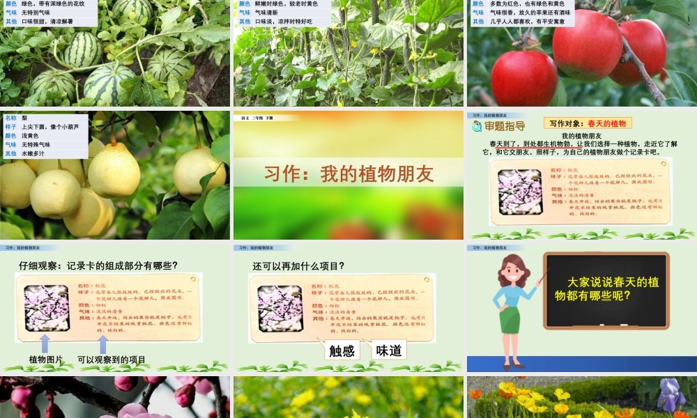 三年级上册语文课件习作：我的植物朋友 (2).pptx