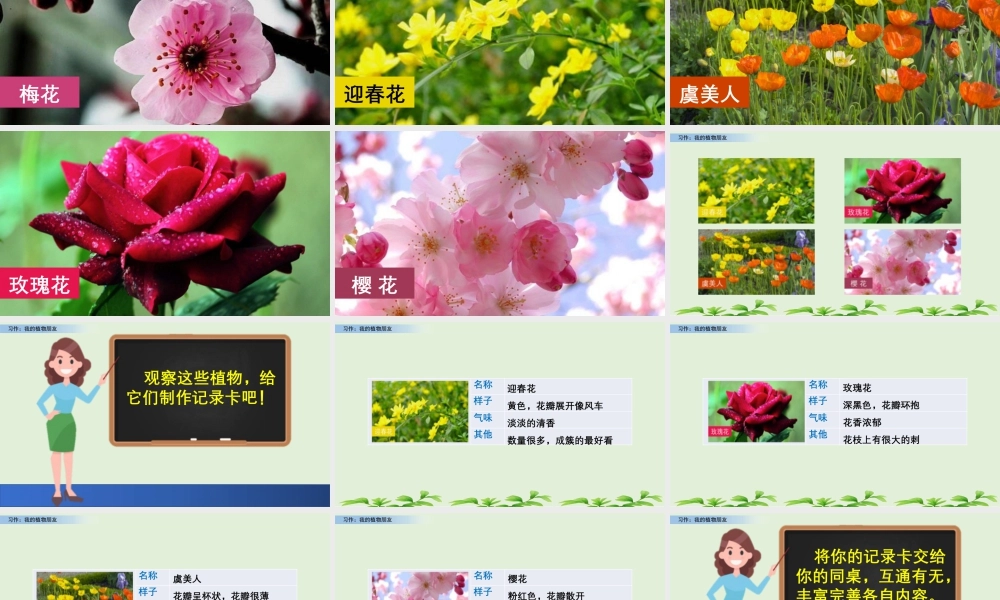 三年级上册语文课件习作：我的植物朋友 (2).pptx